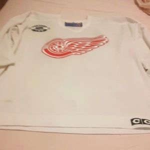 Officially Licensed Detroit Red Wings Ice Hockey Jersey.  No size, fit large-XL